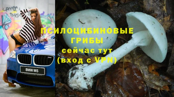 прущий лед Алексеевка