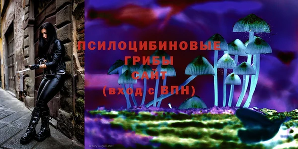 спайс Алзамай