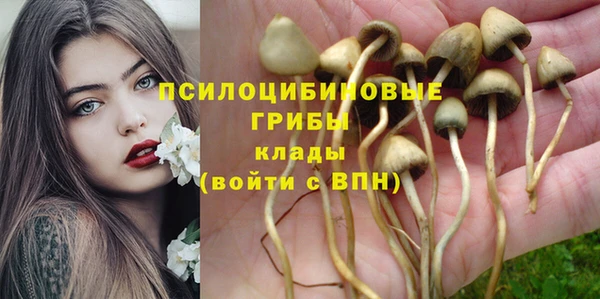 спайс Алзамай