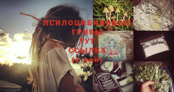 прущий лед Алексеевка
